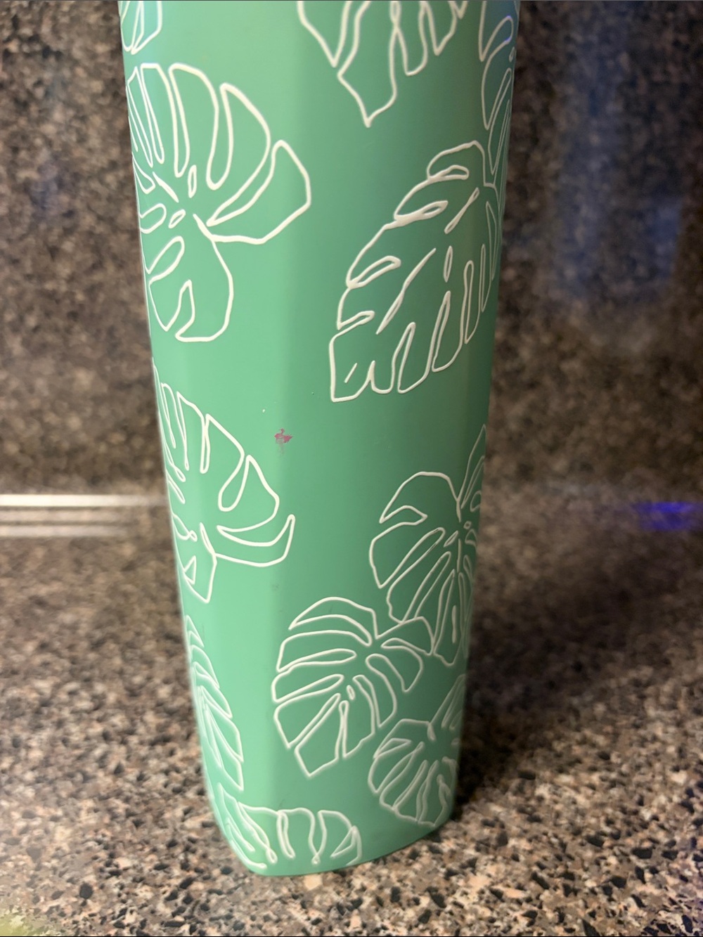 Brumate Monstera Special Edition Rehydration Bottle 25 Ounces - Picture 8 of 8
